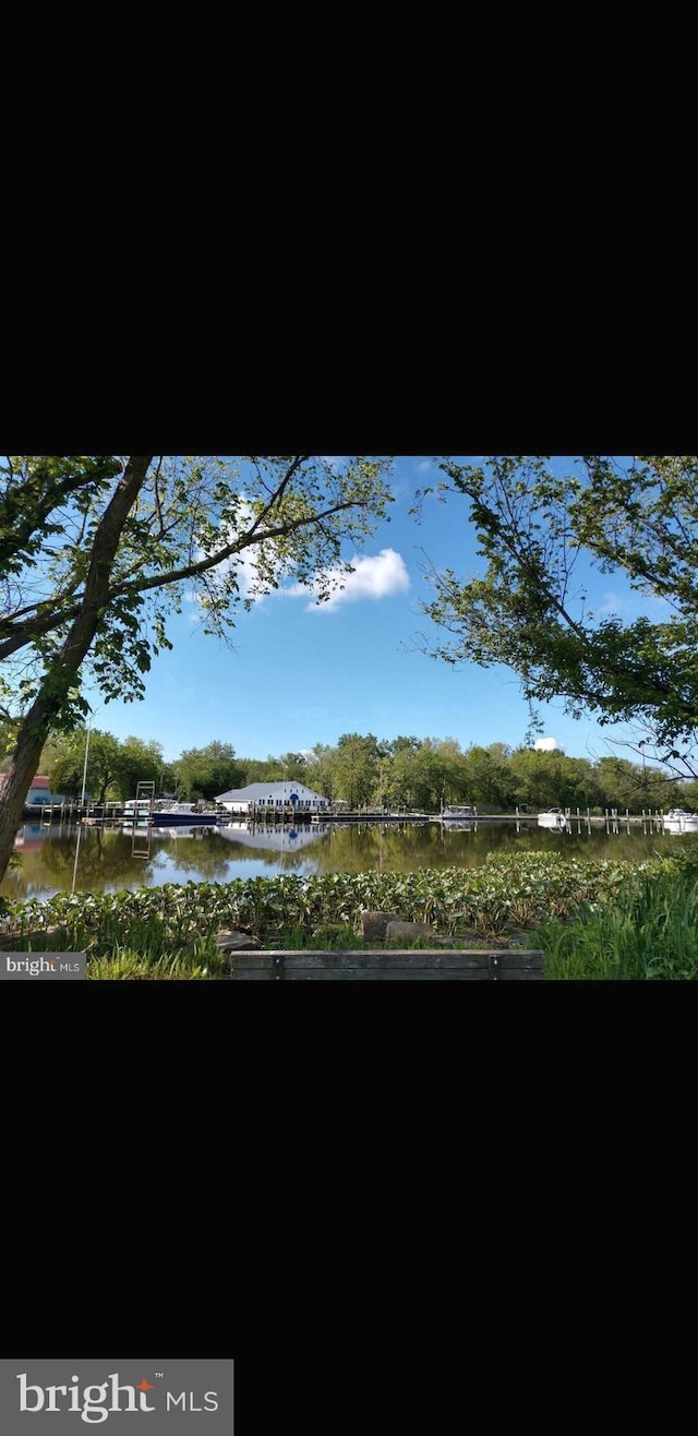 view of nature featuring a water view