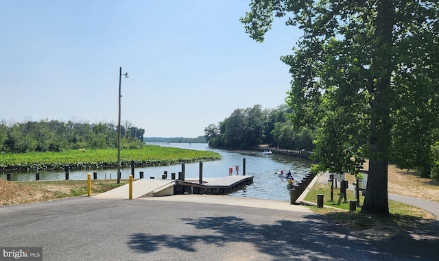 dock area featuring a water view