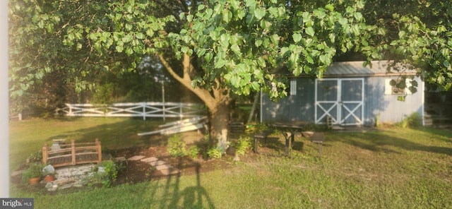 view of yard with a storage unit