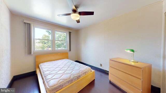 bedroom featuring ceiling fan and dark hardwood / wood-style floors