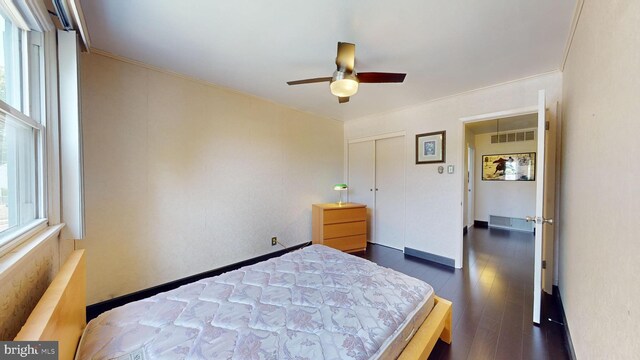 bedroom featuring ceiling fan, crown molding, dark wood-type flooring, and a closet