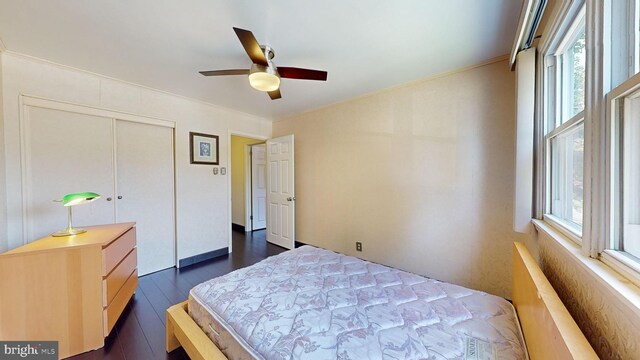 bedroom with a closet, ceiling fan, and dark hardwood / wood-style flooring