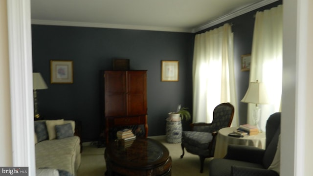 living area with carpet floors and ornamental molding