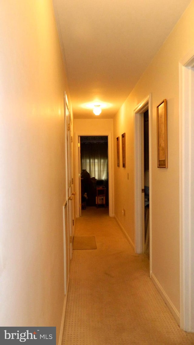 hallway featuring light carpet