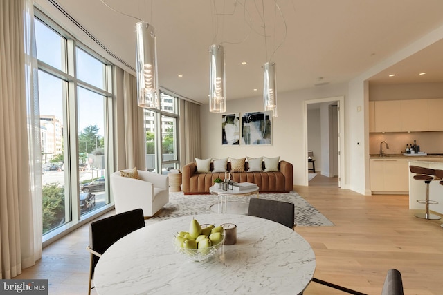 dining room with expansive windows and light hardwood / wood-style floors