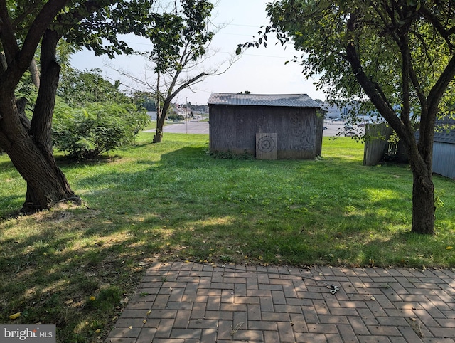 view of yard featuring a storage shed