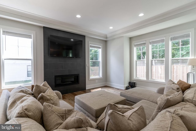 living room featuring baseboards, a fireplace, wood finished floors, and recessed lighting