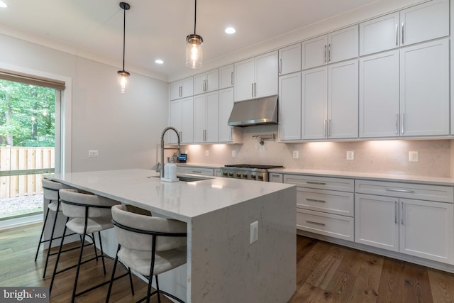 kitchen with pendant lighting, a sink, a kitchen island with sink, and under cabinet range hood