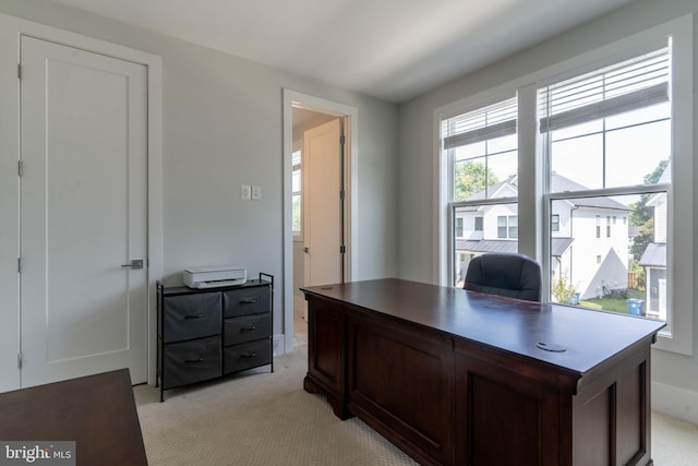 office space featuring light colored carpet