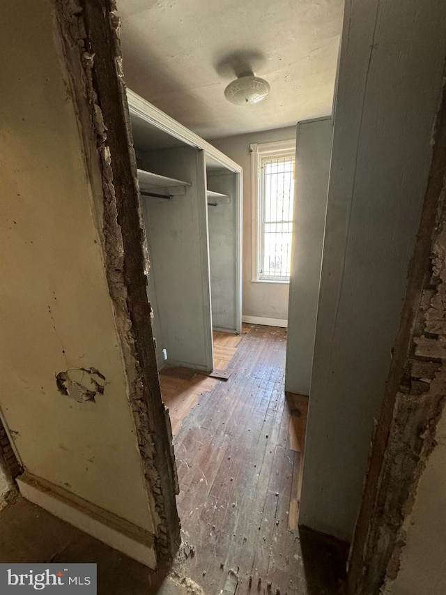 spacious closet with hardwood / wood-style floors