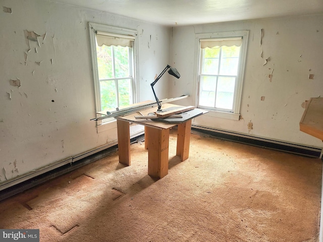 interior space featuring a wealth of natural light and carpet floors