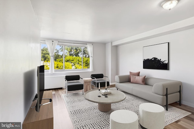 living room with hardwood / wood-style flooring