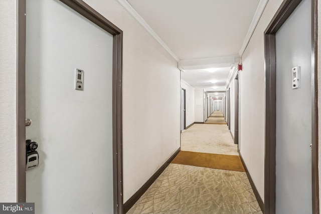 hallway featuring light carpet and ornamental molding