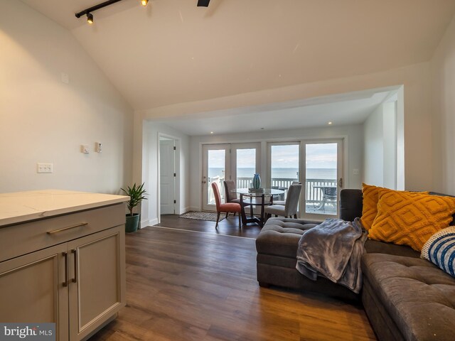 living room with rail lighting, vaulted ceiling, and dark hardwood / wood-style floors