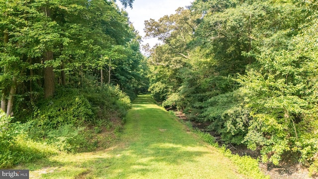 exterior space with a forest view