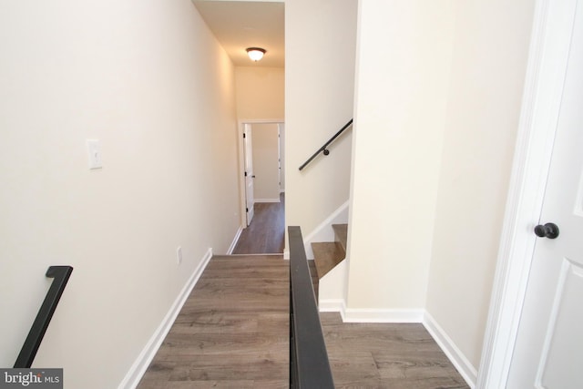 hallway with wood-type flooring