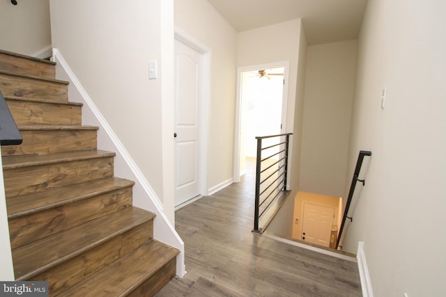 staircase with hardwood / wood-style floors and ceiling fan