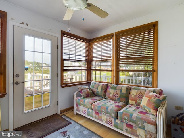 interior space with ceiling fan and light hardwood / wood-style flooring