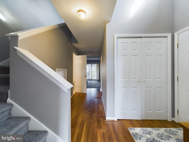 corridor featuring dark wood-type flooring