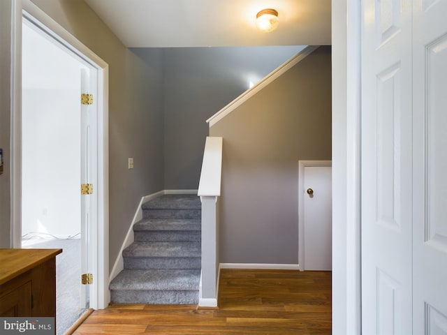 stairs with hardwood / wood-style flooring