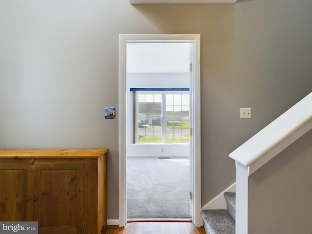 doorway to outside with light carpet