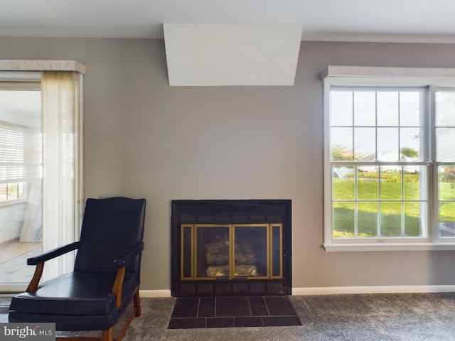 interior space featuring carpet floors