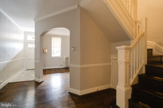 additional living space with radiator heating unit and wood-type flooring