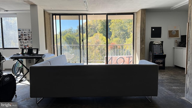 living room featuring expansive windows