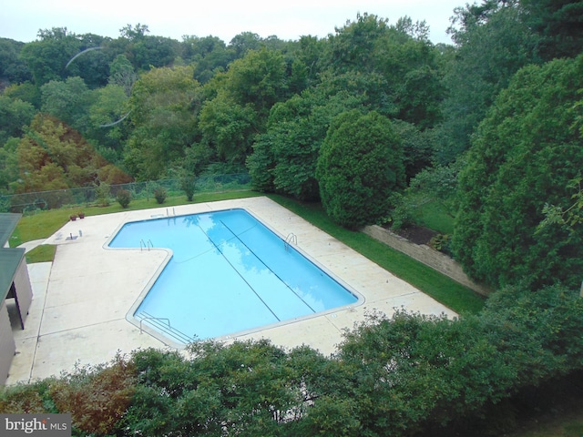 view of pool featuring a patio