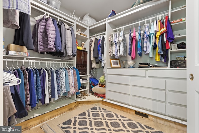 view of spacious closet