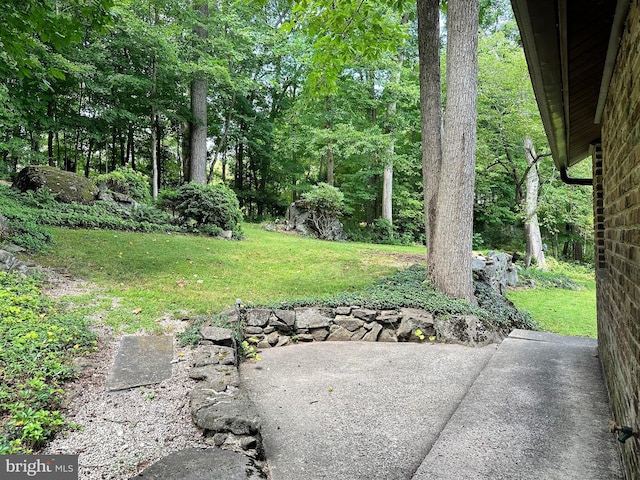 view of green lawn with a patio