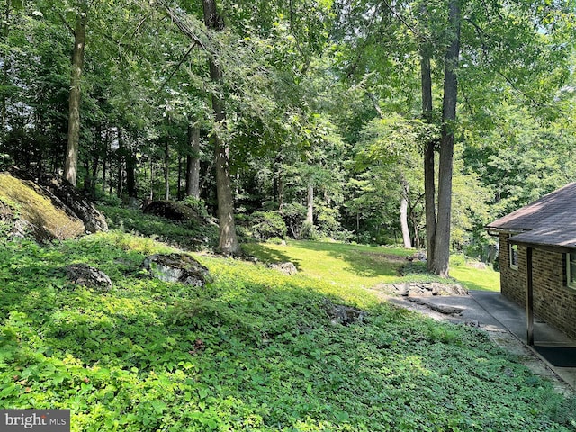 view of green lawn with a patio area and a forest view