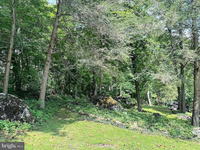 view of yard with a wooded view