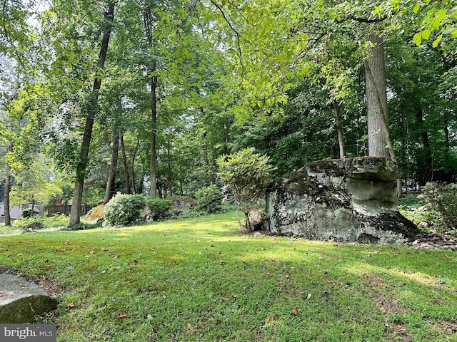 view of green lawn