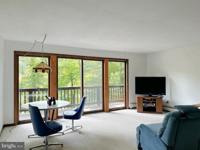 living room featuring a baseboard radiator, a wealth of natural light, and light colored carpet