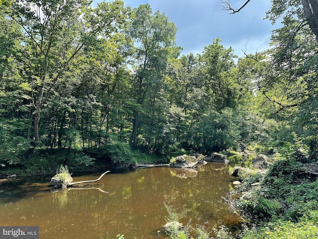 water view with a heavily wooded area