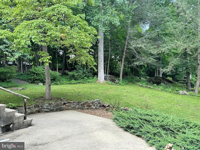 view of green lawn with a patio area