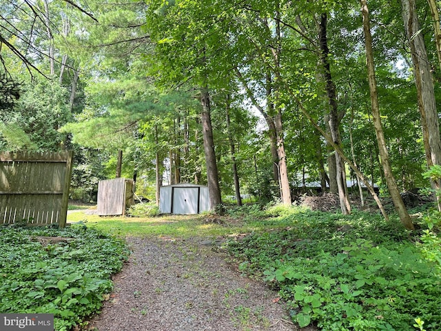 view of yard featuring a storage shed