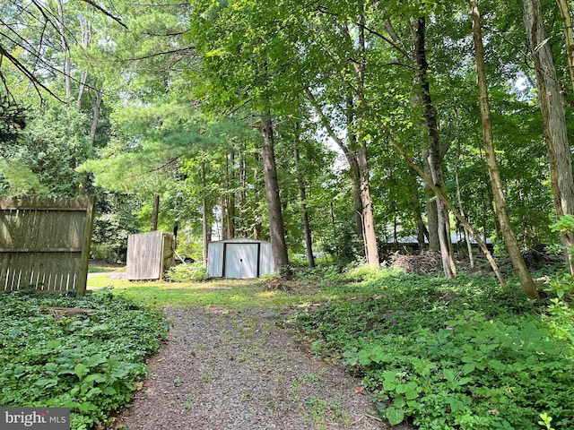 view of yard