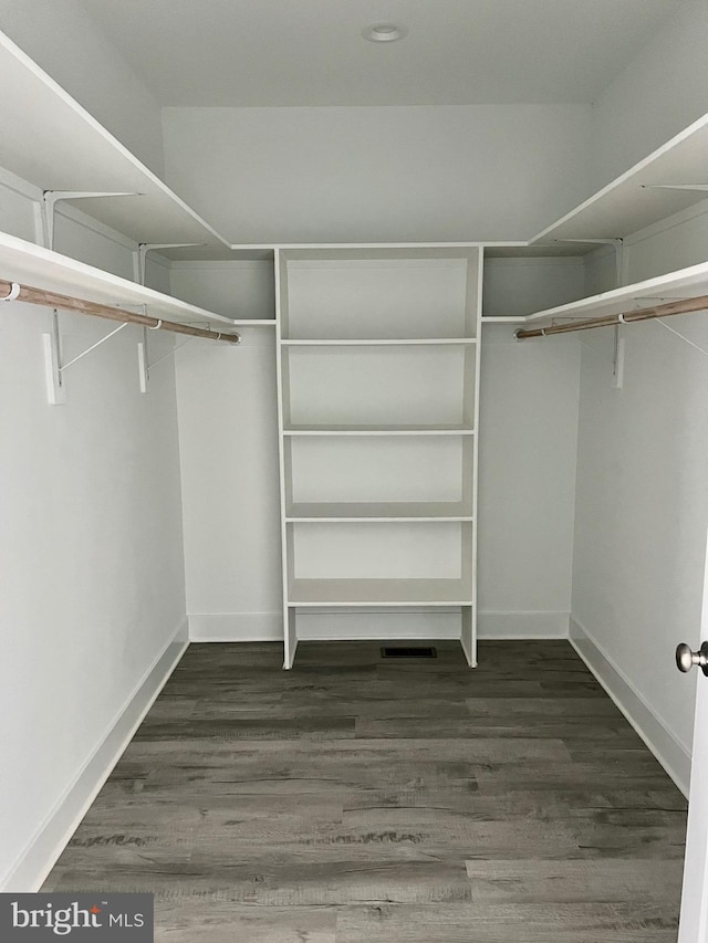 spacious closet featuring dark wood-style flooring