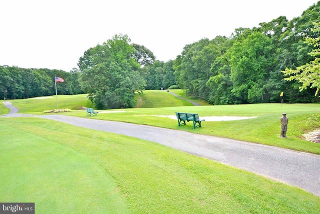 view of home's community featuring a yard