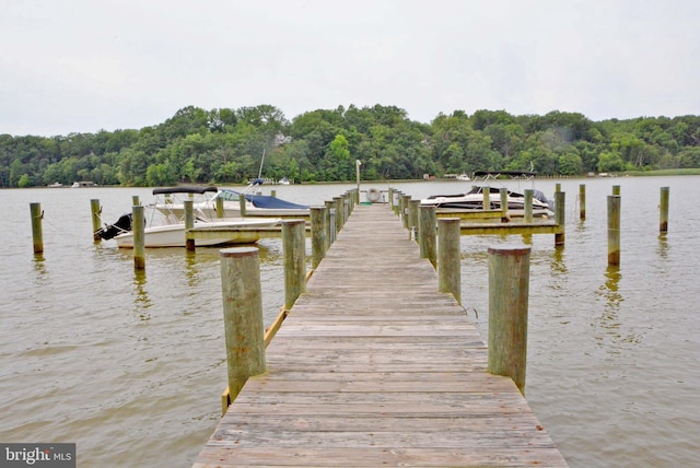 view of dock with a water view