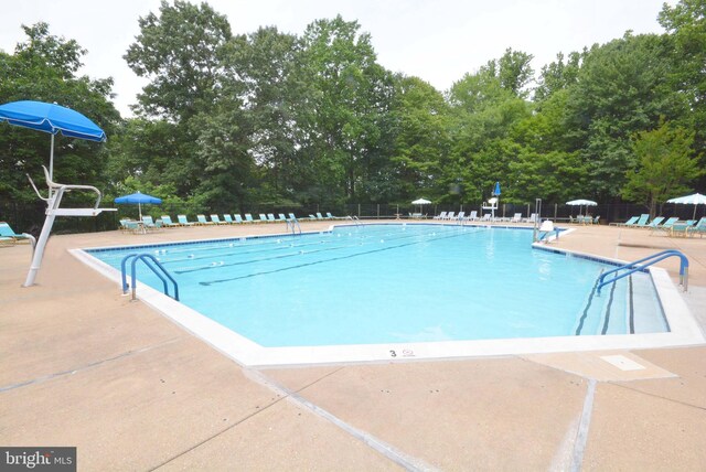 view of pool with a patio area