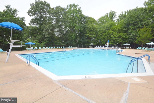 view of swimming pool with a patio