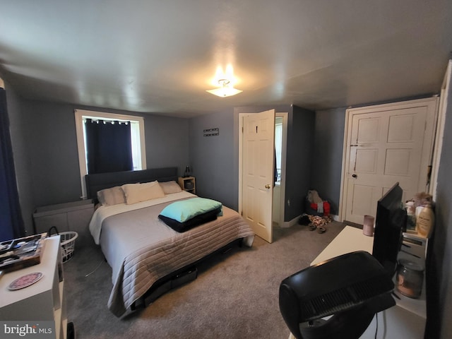 bedroom featuring carpet