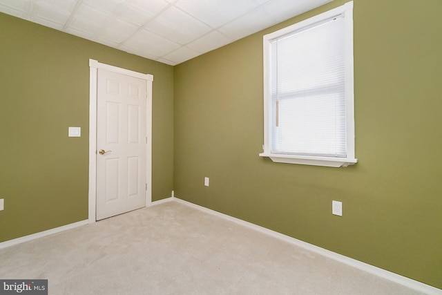 carpeted empty room featuring a drop ceiling