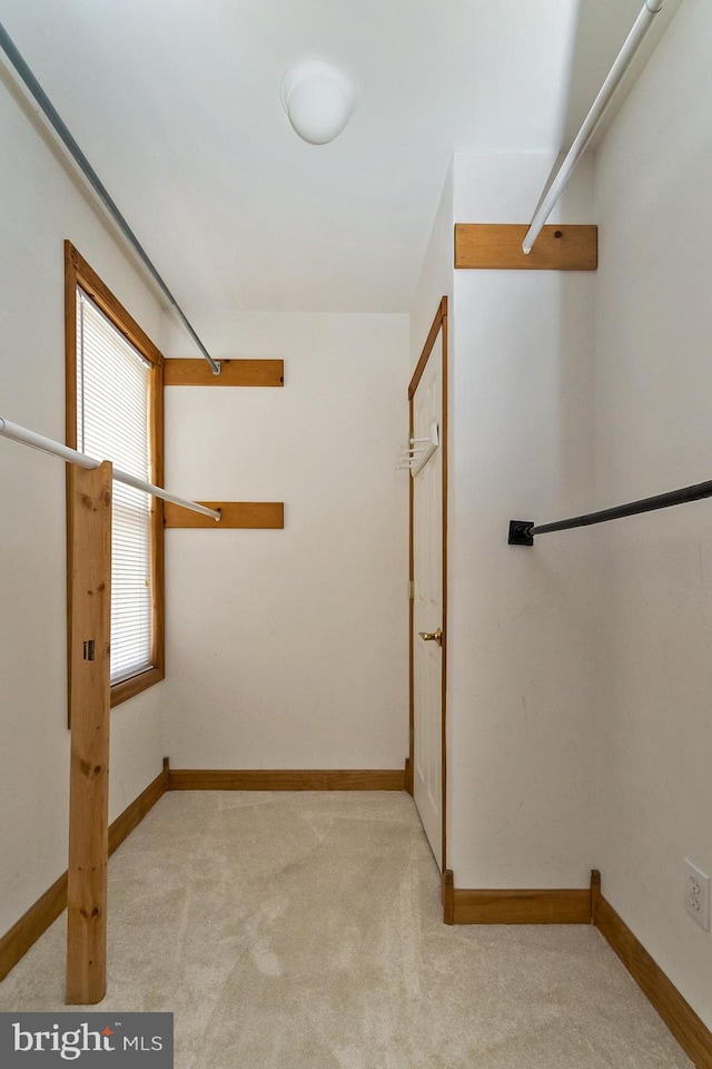 walk in closet with light colored carpet