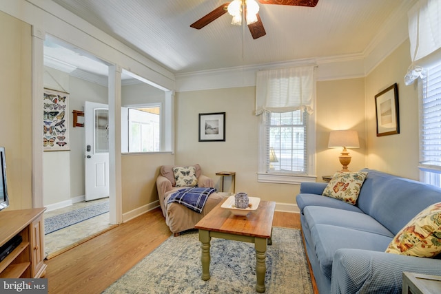 living room with ceiling fan, crown molding, and light hardwood / wood-style flooring