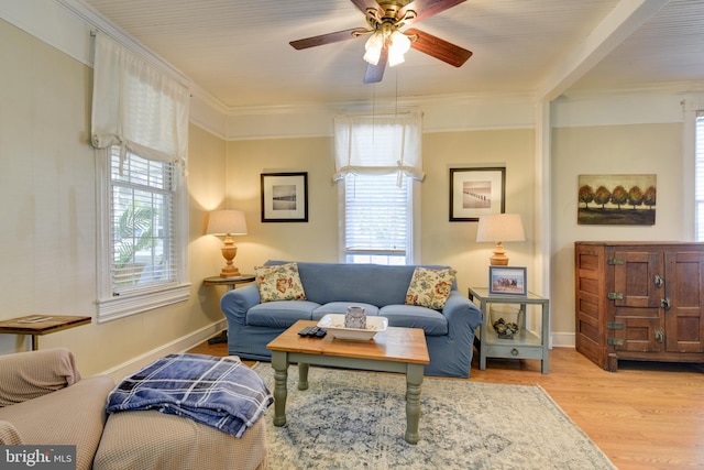 living room with ceiling fan, light wood-type flooring, plenty of natural light, and ornamental molding