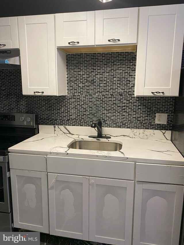 kitchen featuring backsplash, sink, ventilation hood, and stainless steel electric range